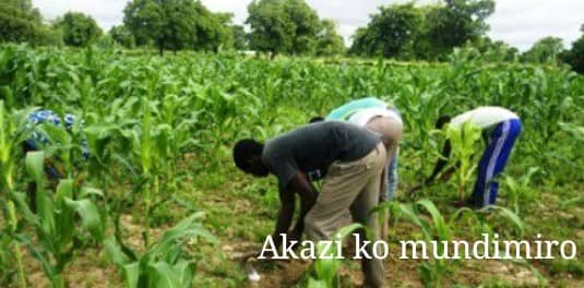 Sud : Des lauréats du secondaire en détresse